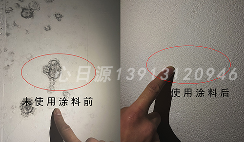 地下室霉菌前后對比圖