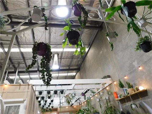 導光管對植物的影響