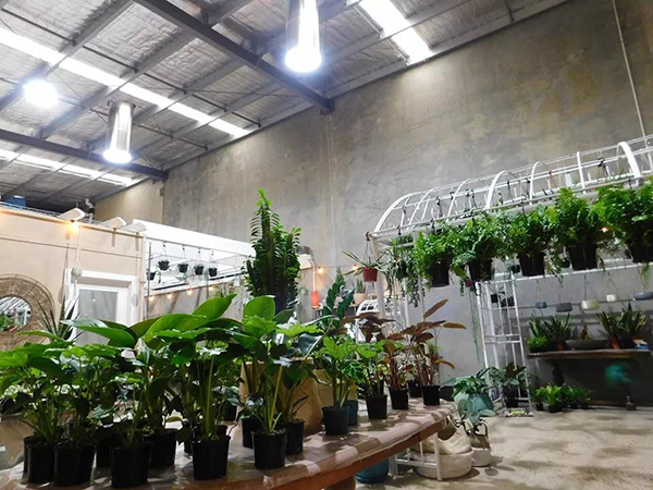 索樂圖光導照明系統