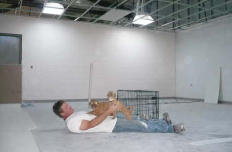 你的寵物比你更需要自然光