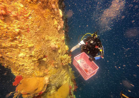 索樂圖導光管——減少碳排放,不再為垃圾分類煩惱! 索樂圖導光管——減少碳排放,不再為垃圾分類煩惱!